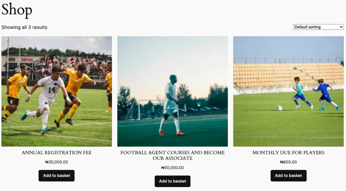 Shop page using WooCommerce plugin