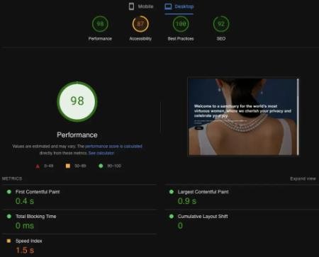 A screenshot of the Virgin Models homepage built with WordPress.